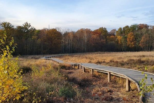 Schutterspark - gezinsfotografie limburg